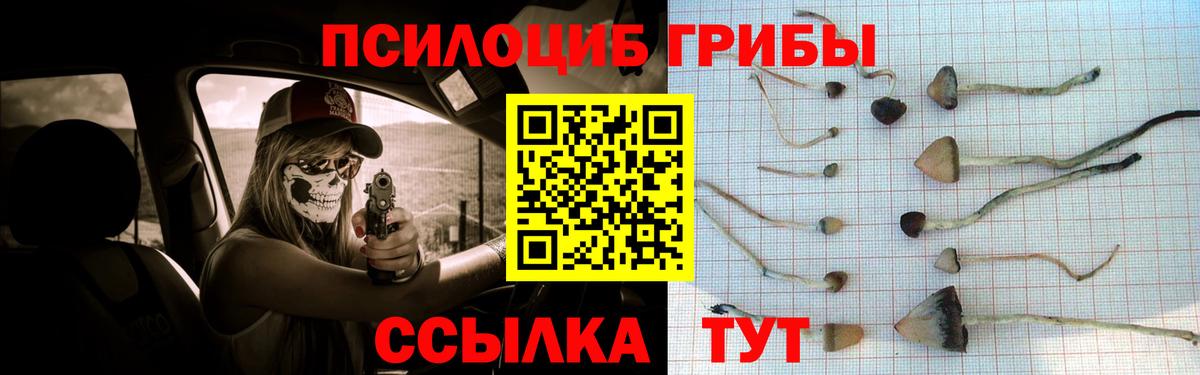 Бузулук  Галлюциногенные грибы Magic Shrooms  где купить   Вход с VPN 